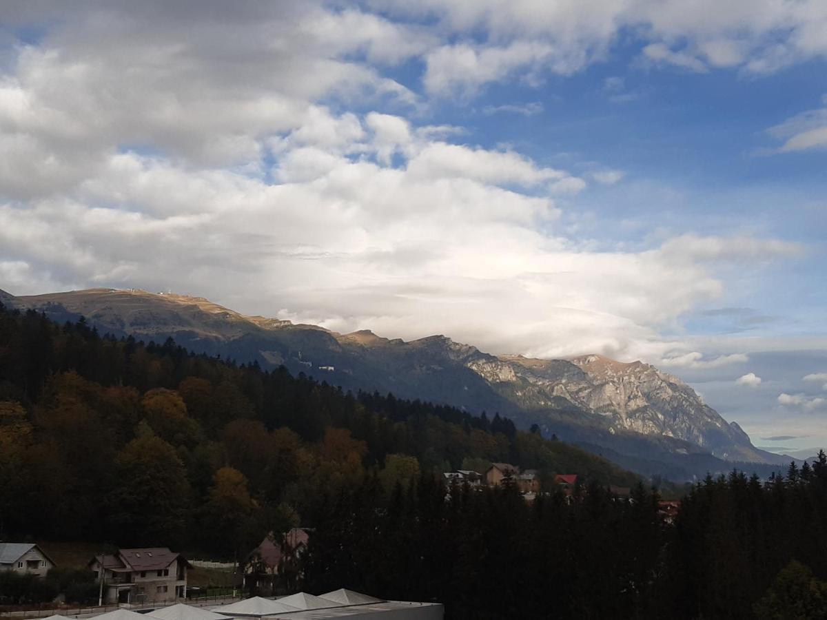 Apartamento Bucegi View 39 - Colina Marei Sinaia Exterior foto